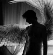 Angelkin